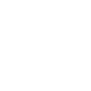 Fleet Minibuses